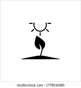 A sprout growing under the sun glyph icon. Solid vector black icon isolated on a white background. Logo illustration. Symbol of a garden or farm. Flat sign for mobile concept web design.