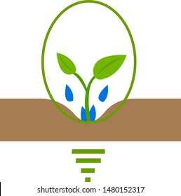 sprout grows in the soil drops of water moisten its roots light bulb symbol of idea the concept of agriculture and gardening