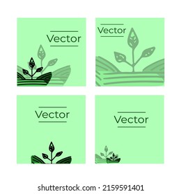 Sprout growth set of vector illustration. Green season hand drawn background. Farm field media banner