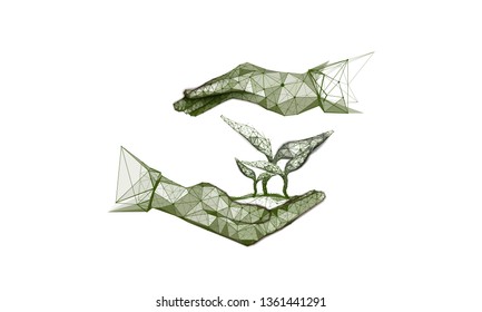 Sprout in hand. Concept for a startup or care or start a new life. Abstract illustration isolated on white background. Style low poly wireframe. Particles are connected in a geometric silhouette