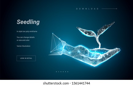 Sprout in hand. Concept for a startup or care or start a new life. Abstract illustration isolated on white background. Style low poly wireframe. Particles are connected in a geometric silhouette