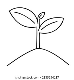 Sprout. Handgezeichnete Frühlingssymbole.
