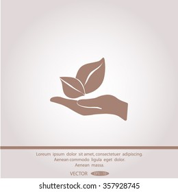 sprout in a hand of environmental protection
