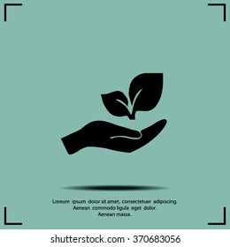 sprout in a hand of environmental protection