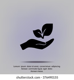 sprout in a hand of environmental protection