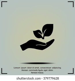 sprout in a hand of environmental protection