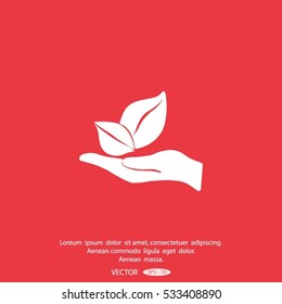 sprout in a hand of environmental protection