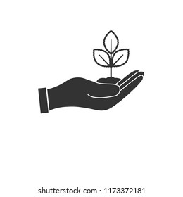 Sprout In Hand Icon, Plant In Hand Icon.