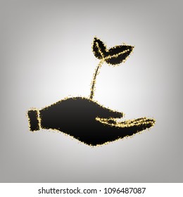Sprout in a hand sign of environmental protection. Vector. Blackish icon with golden stars at grayish background.