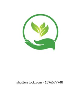 sprout in a hand sign of environmental protection, web icon. 