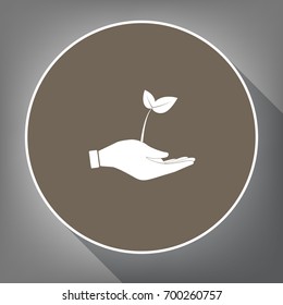 sprout in a hand sign of environmental protection. Vector. White icon on brown circle with white contour and long shadow at gray background. Like top view on postament.