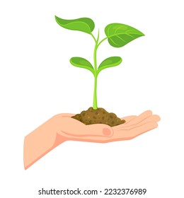 Sprout in hand. Young seedling in handbreadth. Vector illustration of plant new life symbol.