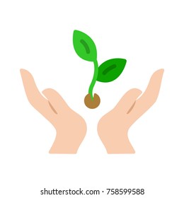 sprout and hands