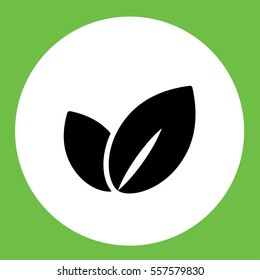 sprout herbal plant leaves simple icon in circle