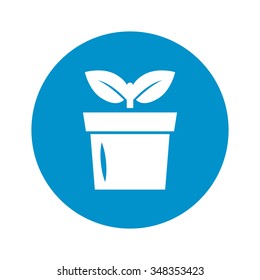 Sprout icon.