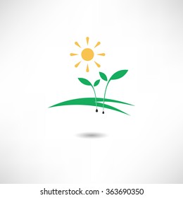 Sprout icon