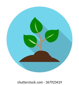 Sprout icon.