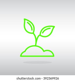 sprout icon