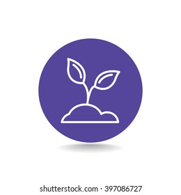 sprout icon
