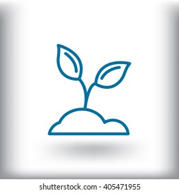 sprout icon