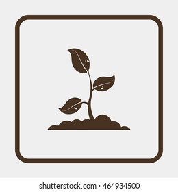Sprout icon.
