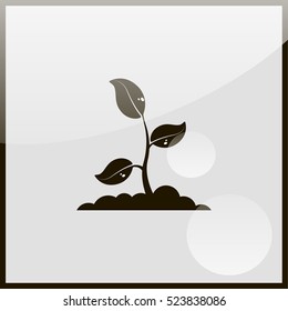 Sprout icon.