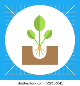 Sprout icon