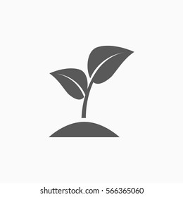 芽 の画像 写真素材 ベクター画像 Shutterstock
