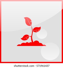 Sprout icon.