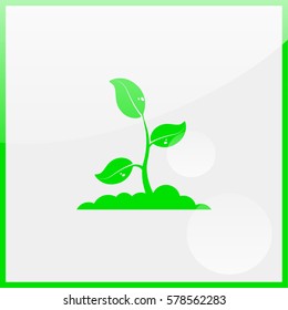 Sprout icon.