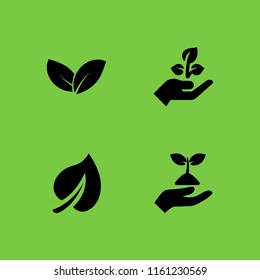 sprout icon. 4 sprout set with seeding, hand holding up a sprout and plant vector icons for web and mobile app