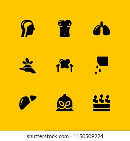 sprout icon. 9 sprout set with seeds, plants, biology and plant on a hand vector icons for web and mobile app