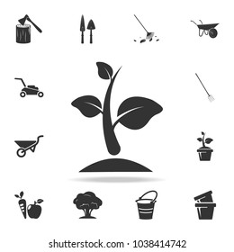 sprout icon. Detailed set of garden tools and agriculture icons. Premium quality graphic design. One of the collection icons for websites, web design, mobile app on white background