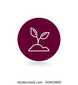  Sprout icon Flat.