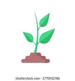 Sprout icon. Flat design. Green plant isolated on white background. Vector illustration
