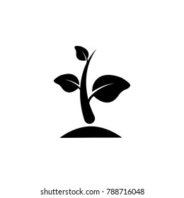 sprout icon. Garden elements. Premium quality graphic design icon. Simple love icon for websites, web design, mobile app, info graphics on white background