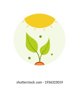 Icono de brote. El grano ha brotado. Disparen.