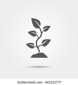 Sprout icon on gray background. Vector illustration.