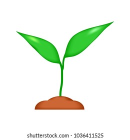 Sprout icon on white background. Vector illustration.