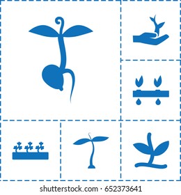 Sprout icon. set of 6 sprout filled icons such as plant