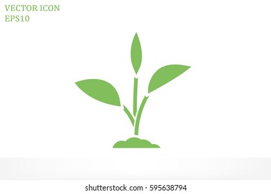 sprout icon vector illustration.