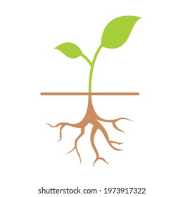 Sprout icon vector illustration design