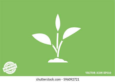 sprout icon vector illustration eps10.