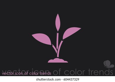 sprout icon vector illustration eps10.