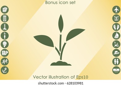 sprout icon vector illustration eps10.