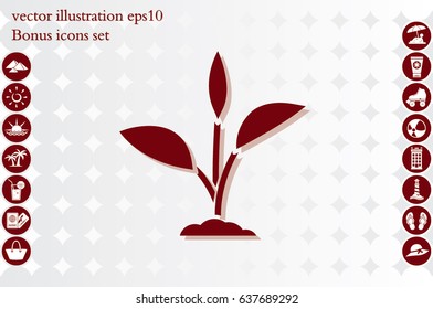 sprout icon vector illustration eps10.