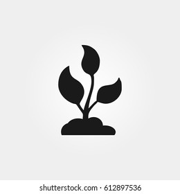 Sprout icon. Sprout vector sign symbol on white background. Sprout illustration for web and graphic