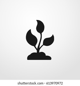 sprout icon. vector sign symbol on white background