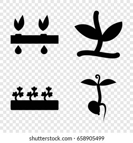 Sprout icons set. set of 4 sprout filled icons such as