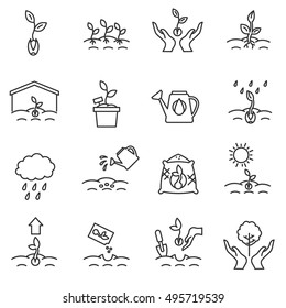 sprout icons set. growing plants from seeds collection. cultivation, care of sprouts and seedlings.Thin line design. gardening, vector linear illustration